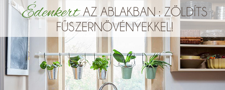 Édenkert az ablakban – Zöldíts fűszernövényekkel!