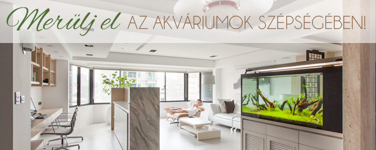 Merülj el az akváriumok szépségében