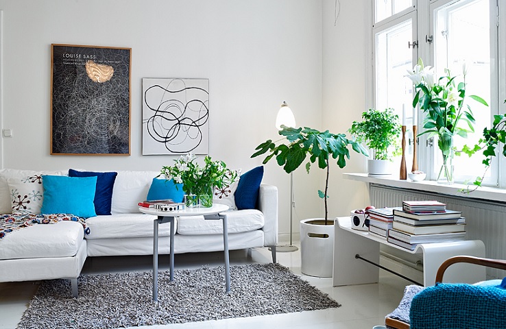 növények nappaliban