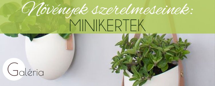 Növények szerelmeseinek minikert fejléc